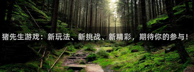 赢咖娱乐网址官网