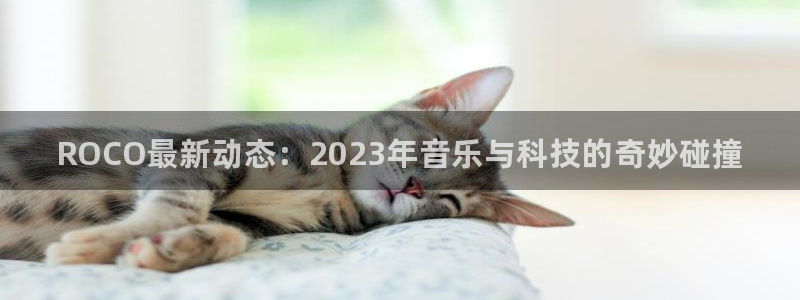 赢咖娱乐集团