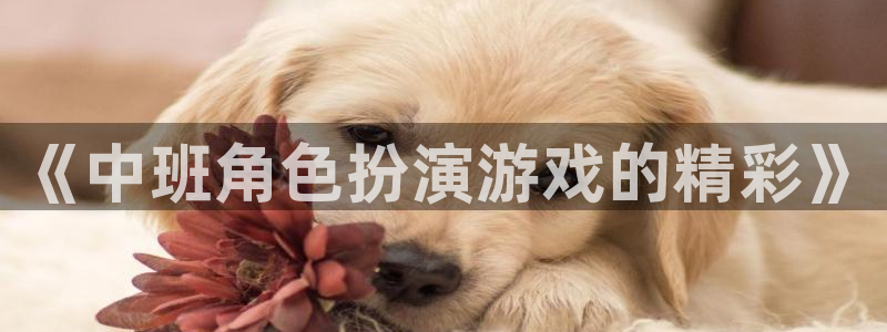 赢咖娱乐4开户