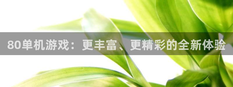 赢咖娱乐登录网址：80单机游戏：更丰富、更精彩的全新体验