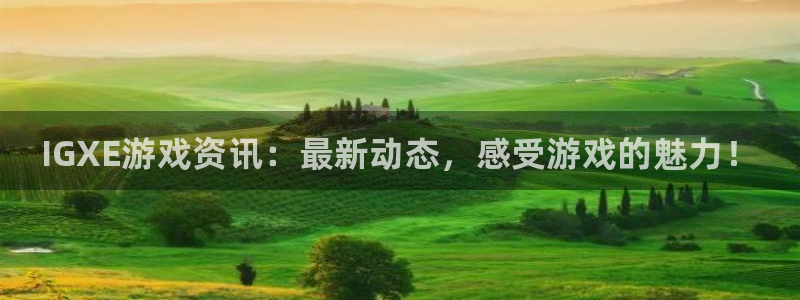 赢咖娱乐游戏：IGXE游戏资讯：最新动态，感受游戏的魅力！