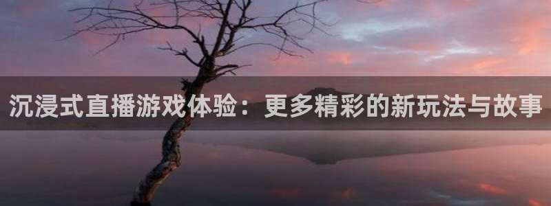 赢咖娱乐登陆：沉浸式直播游戏体验：更多精彩的新玩法与故事