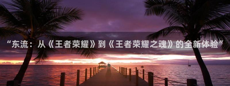 赢咖娱乐注册网站：“东流：从《王者荣耀》到《王者荣耀之魂》的