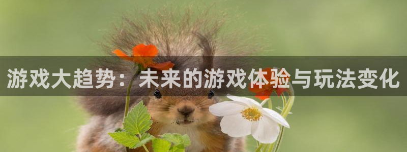 赢咖娱乐平台官网注册:游戏大趋势:未来的游戏体验与玩法变化