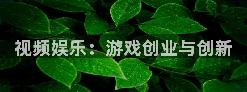 赢咖娱乐注册登录平台：视频娱乐：游戏创业与创新