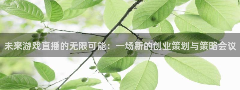 赢咖娱乐下载链接：未来游戏直播的无限可能：一场新的创业策划与