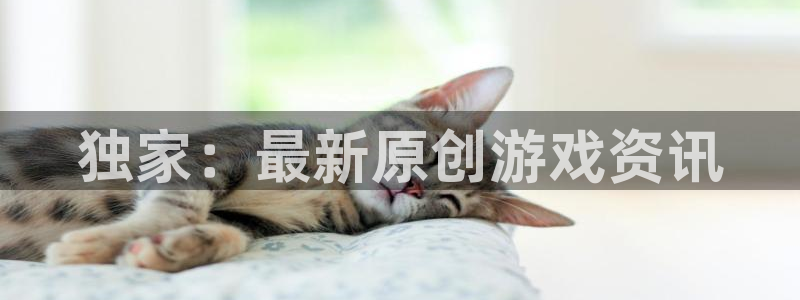 赢咖娱乐直属：独家：最新原创游戏资讯