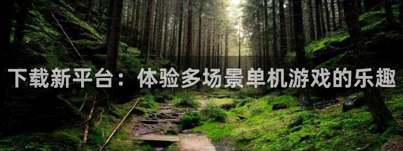 赢咖娱乐注册平台：下载新平台：体验多场景单机游戏的乐趣