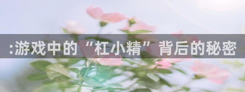 赢咖娱乐：:游戏中的“杠小精”背后的秘密