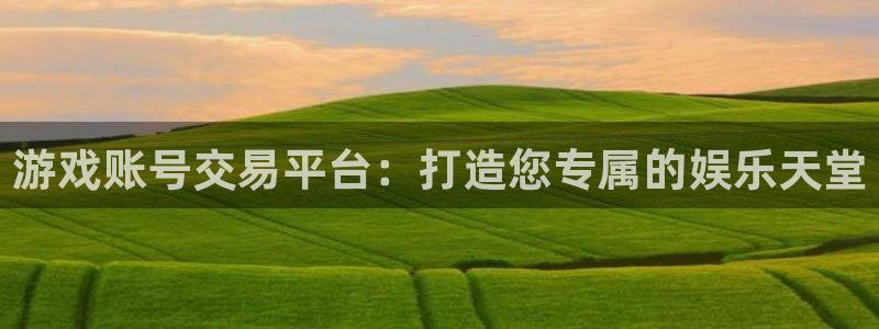 赢咖app是诈骗软件吗安全吗：游戏账号交易平台：打造您专属的