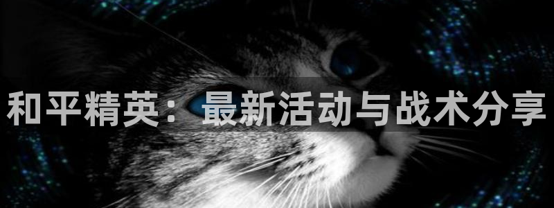 赢咖平台登录入口网页版：和平精英：最新活动与战术分享