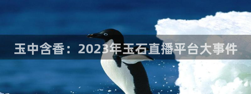 雨燕体育直播下载：玉中含香：2023年玉石直播平台大事件