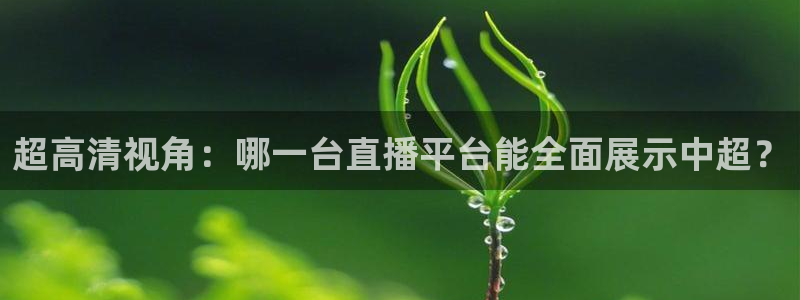雨燕足球直播高清：超高清视角：哪一台直播平台能全面展示中超？