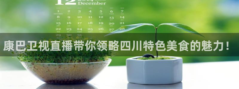 雨燕体育直播nba在线观看：康巴卫视直播带你领略四川特色美食的魅力！