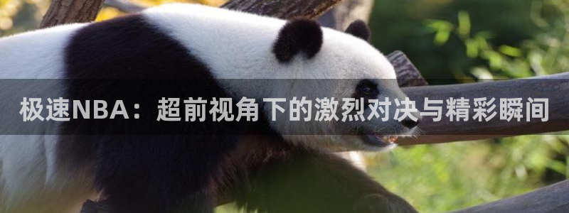 雨燕直播体育app下载ios：极速NBA：超前视角下的激烈对决与精彩瞬间