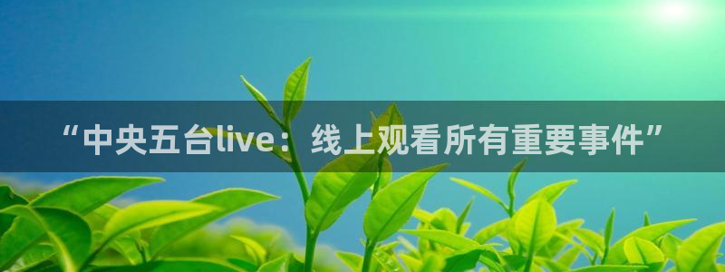 nba直播雨燕：“中央五台live：线上观看所有重要事件”