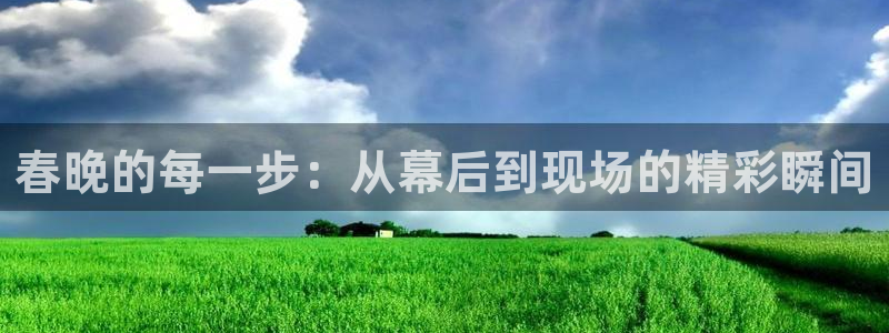 雨燕直播篮球：春晚的每一步：从幕后到现场的精彩瞬间