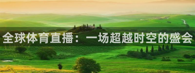 雨燕体育在线直播app：全球体育直播：一场超越时空的盛会