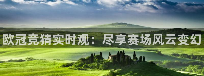 山猫足球直播雨燕直播：欧冠竞猜实时观：尽享赛场风云变幻