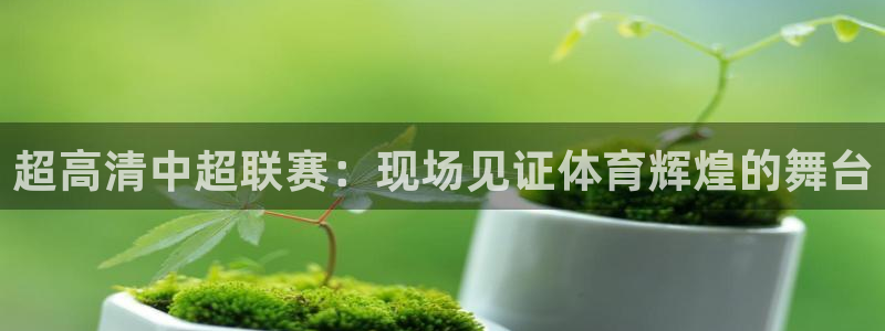 雨燕现场直播nba：超高清中超联赛：现场见证体育辉煌的舞台