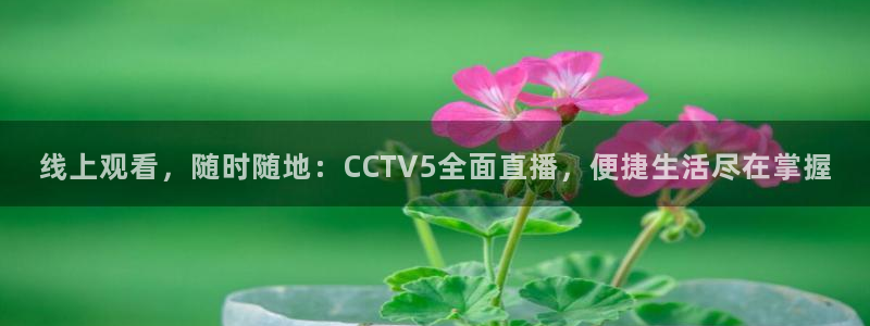 雨燕直播足球直播