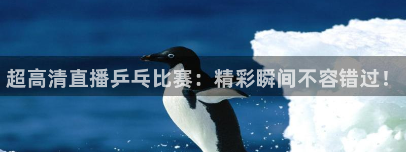 雨燕体育nba直播免费观看：超高清直播乒乓比赛：精彩瞬间不容错过！