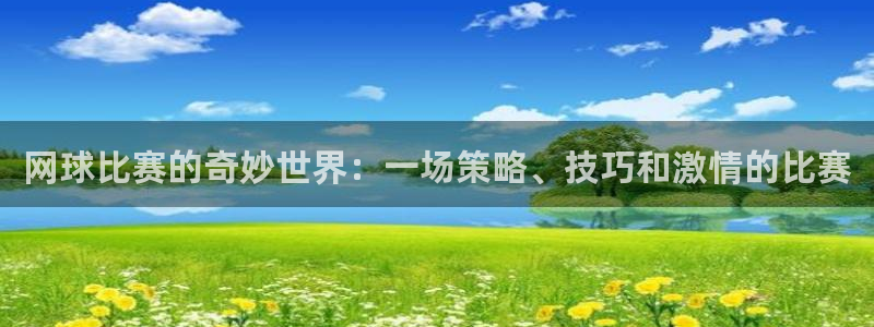 雨燕360体育直播免费观看：网球比赛的奇妙世界：一场策略、技巧和激情的比赛