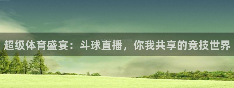 篮球雨燕直播：超级体育盛宴：斗球直播，你我共享的竞技世界